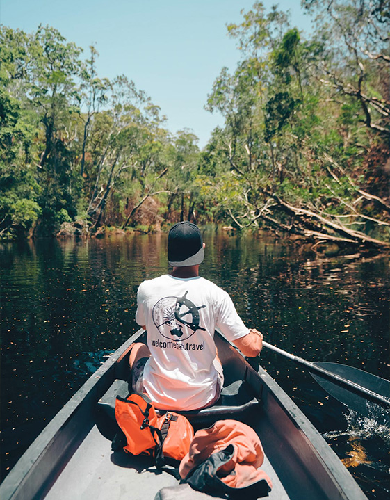 Explore the Everglades National Park