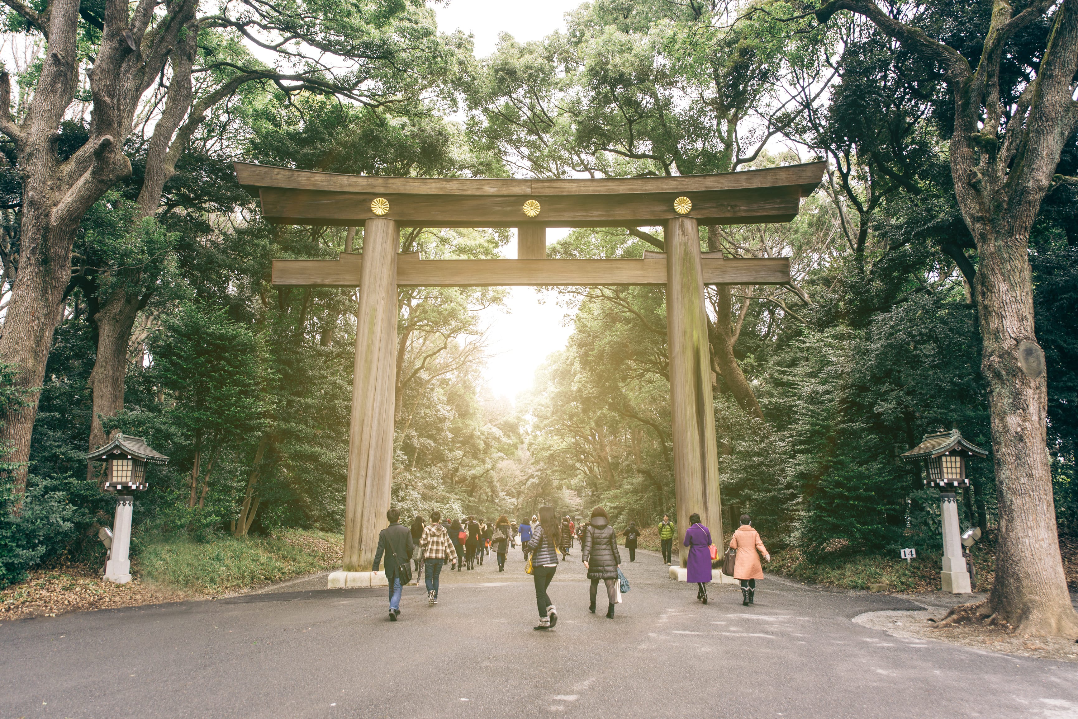 Day 2: Tokyo – Temples, Shibuya & Hidden Bars