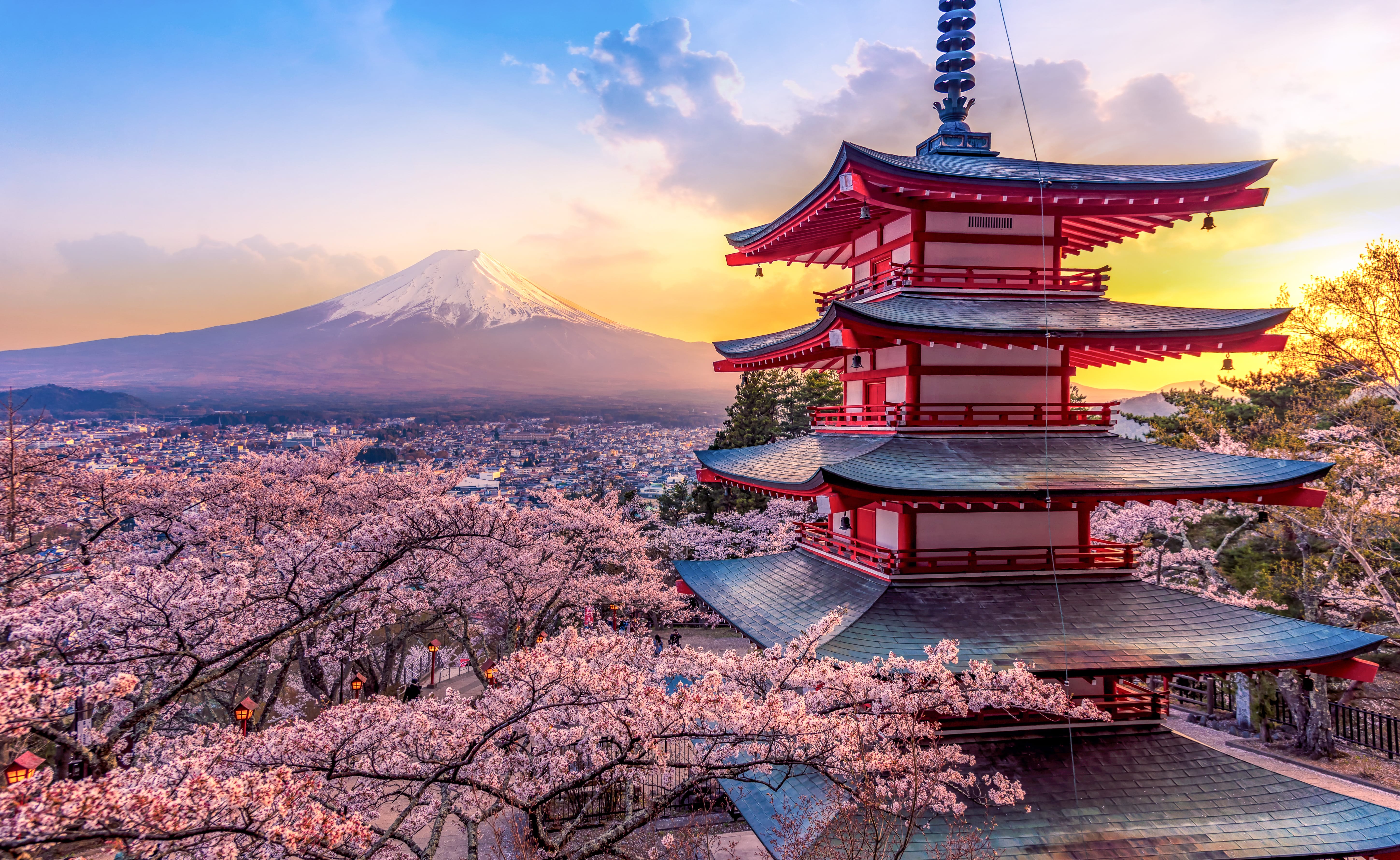 Day 3: Chasing Mt. Fuji – A Breath of Fresh Air 🗻