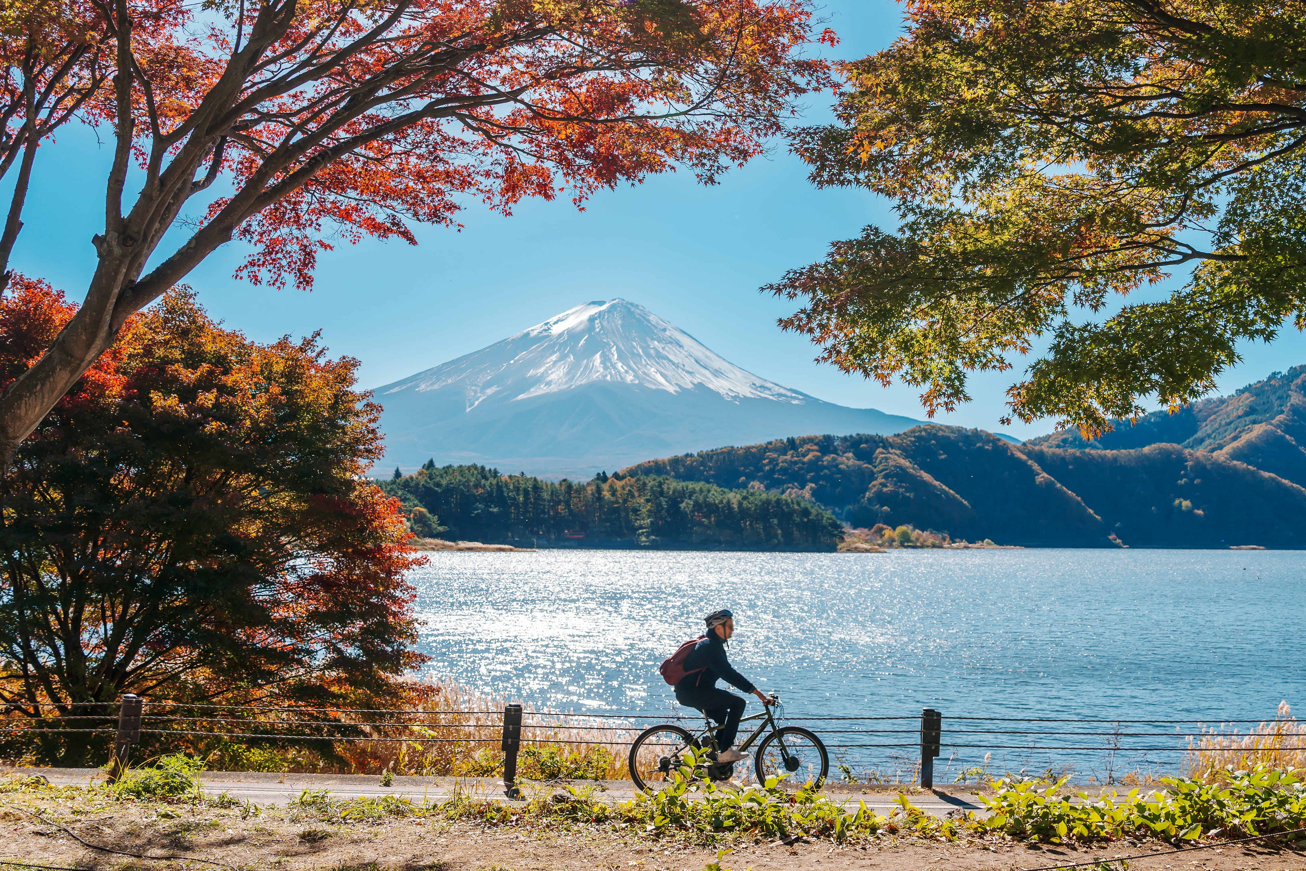 Day 3: Chasing Mt. Fuji – A Breath of Fresh Air 🗻