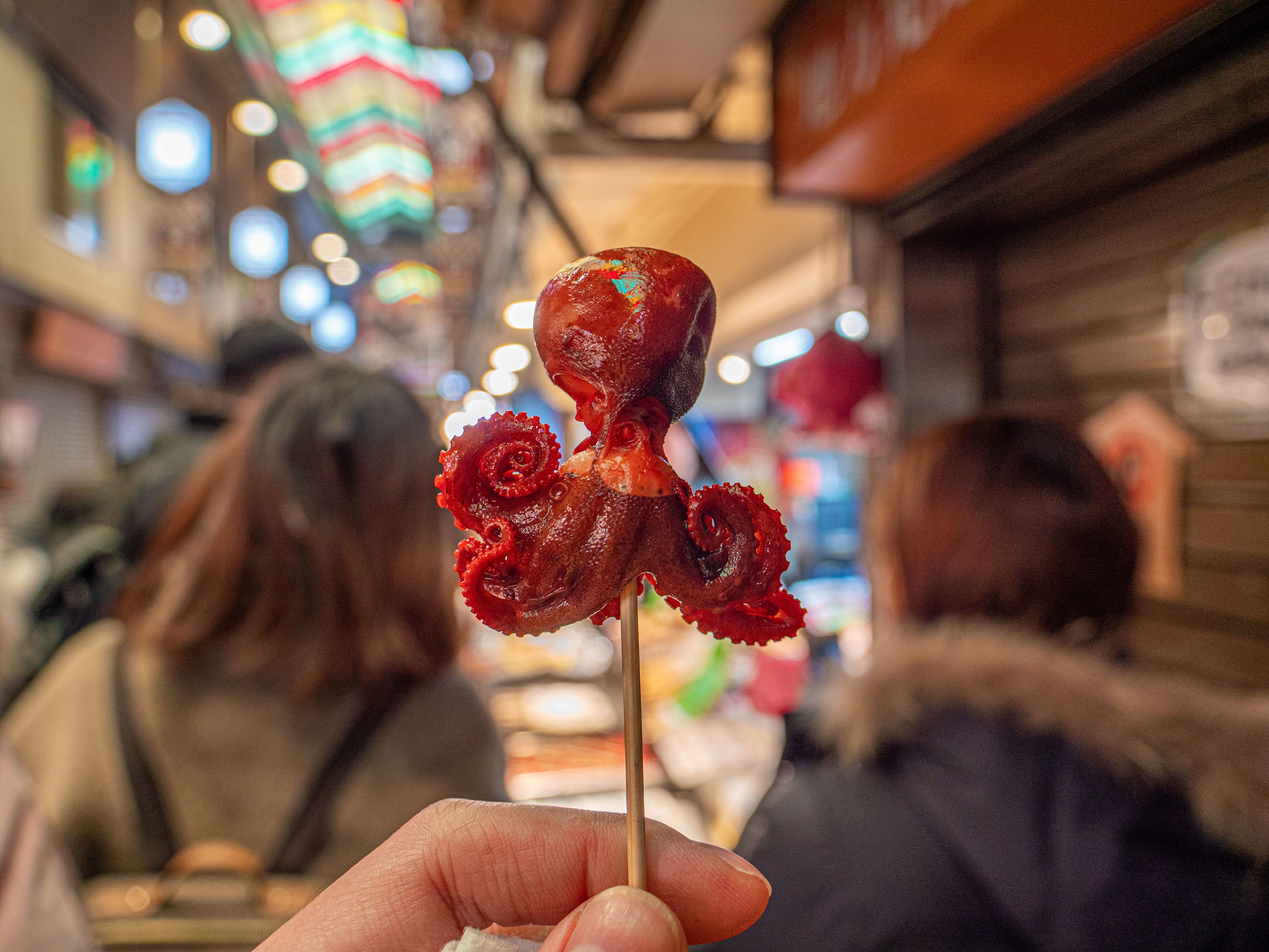 Day 5: Kyoto Bound – Geishas & Hidden Alleyways