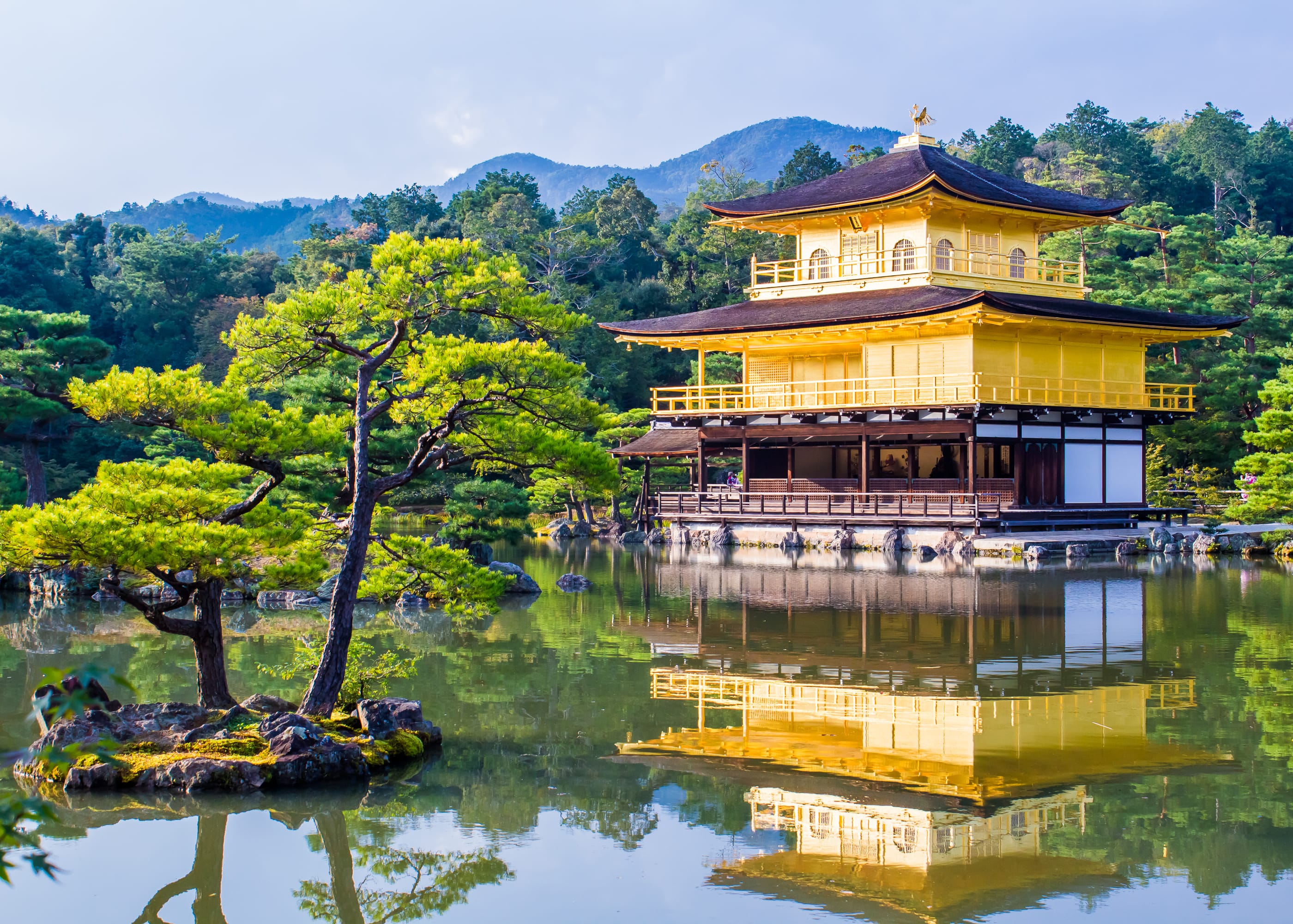 Day 6: Zen Mode – Tea Ceremonies & Free Time in Kyoto 🍵
