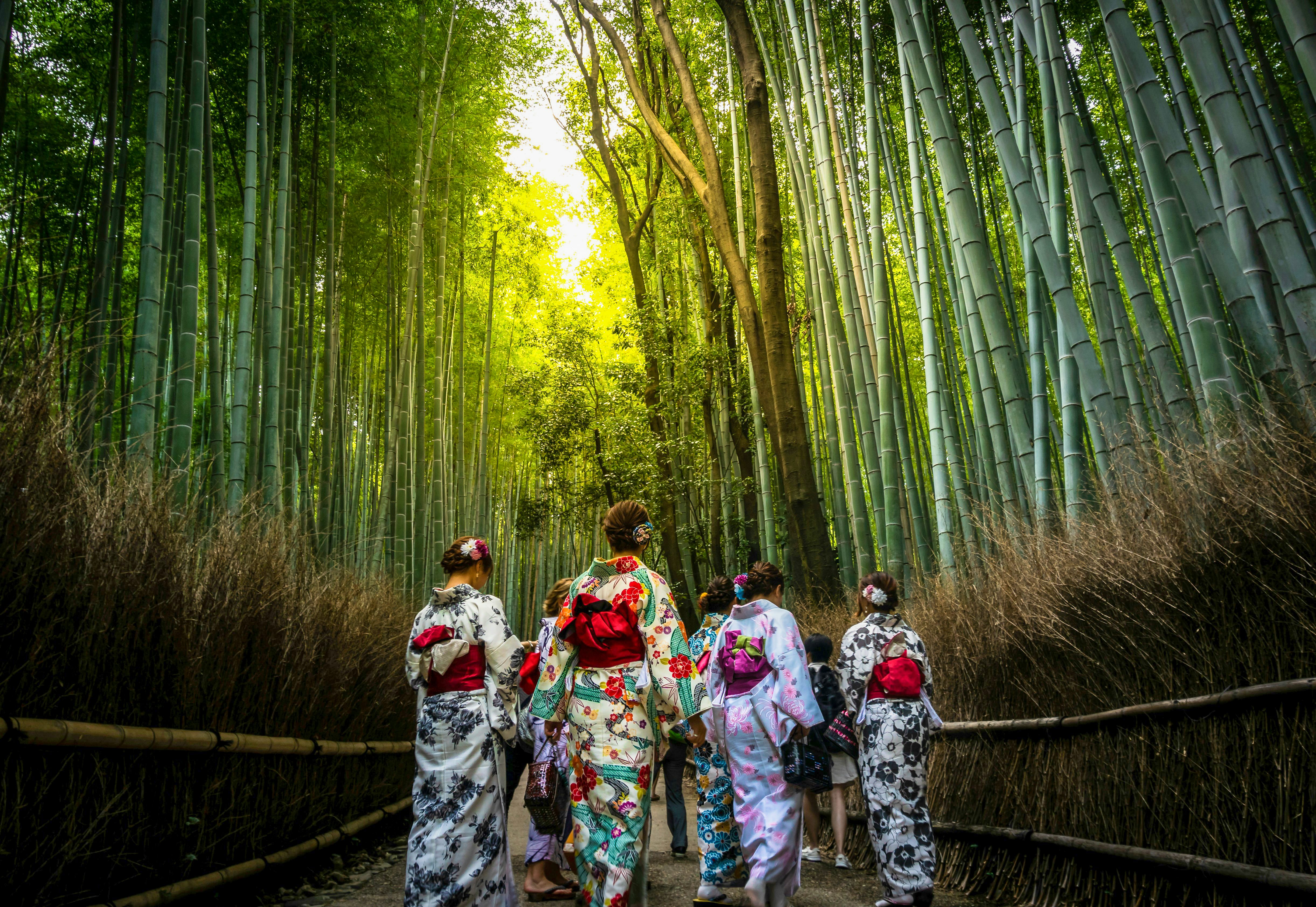 Day 7: Shrines, Monkeys & Bamboo Forests