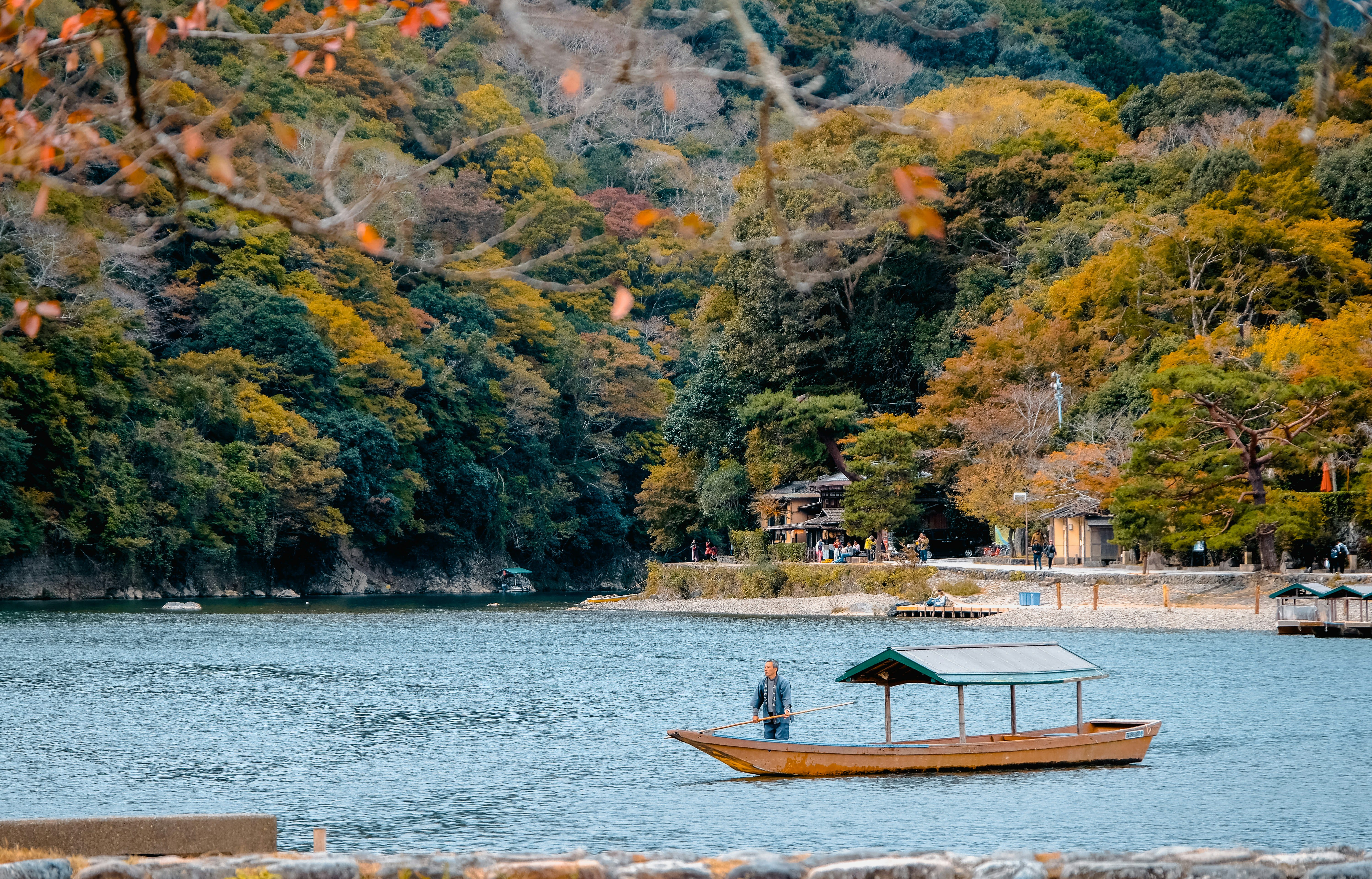 Day 7: Shrines, Monkeys & Bamboo Forests