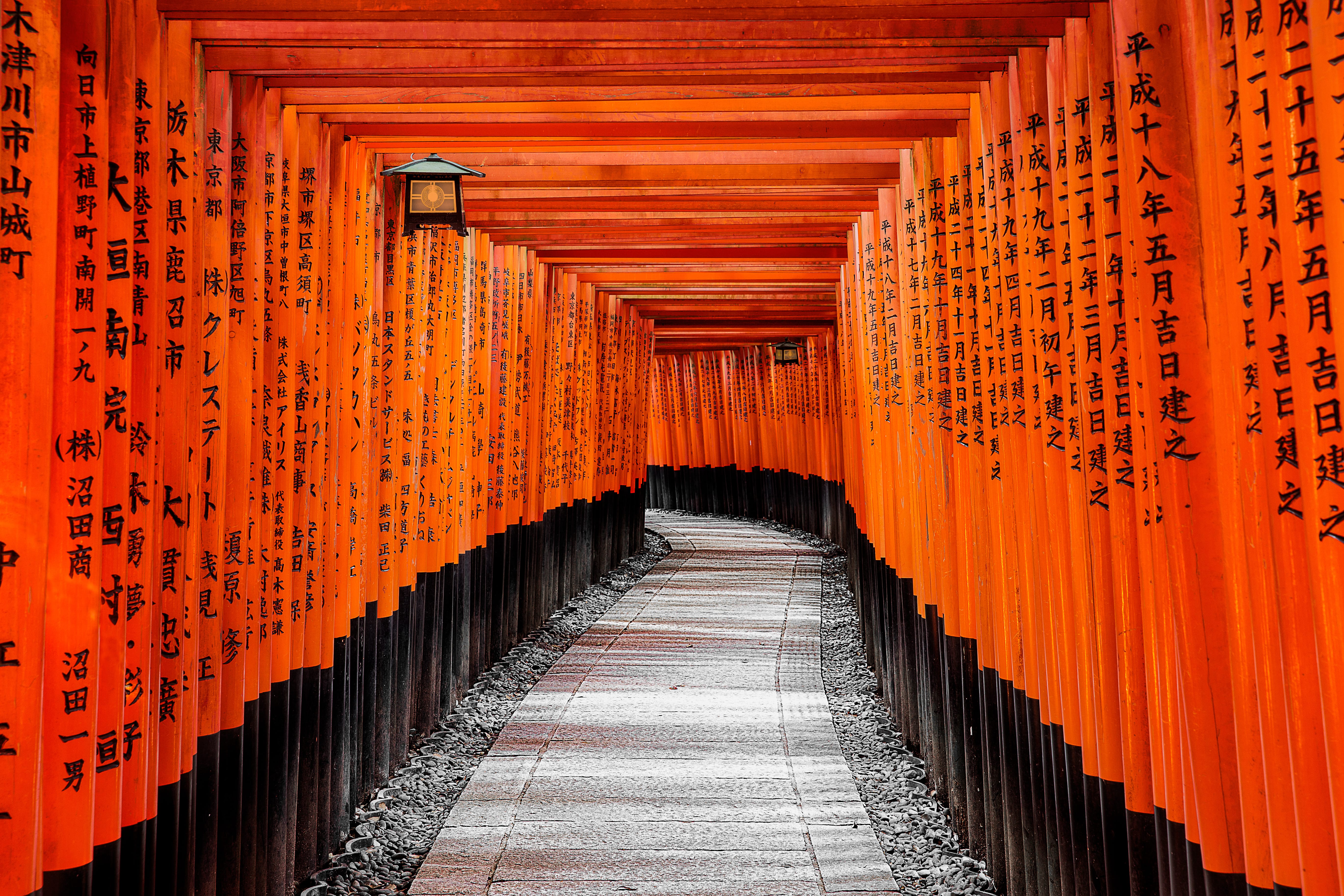 Day 7: Shrines, Monkeys & Bamboo Forests