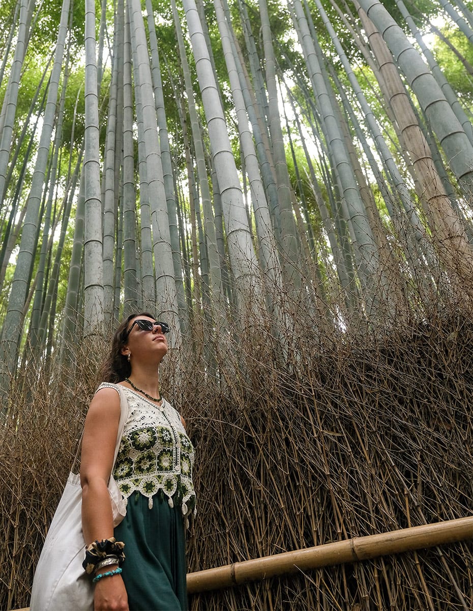 Stand beneath the towering bamboo of Arashiyama Forest