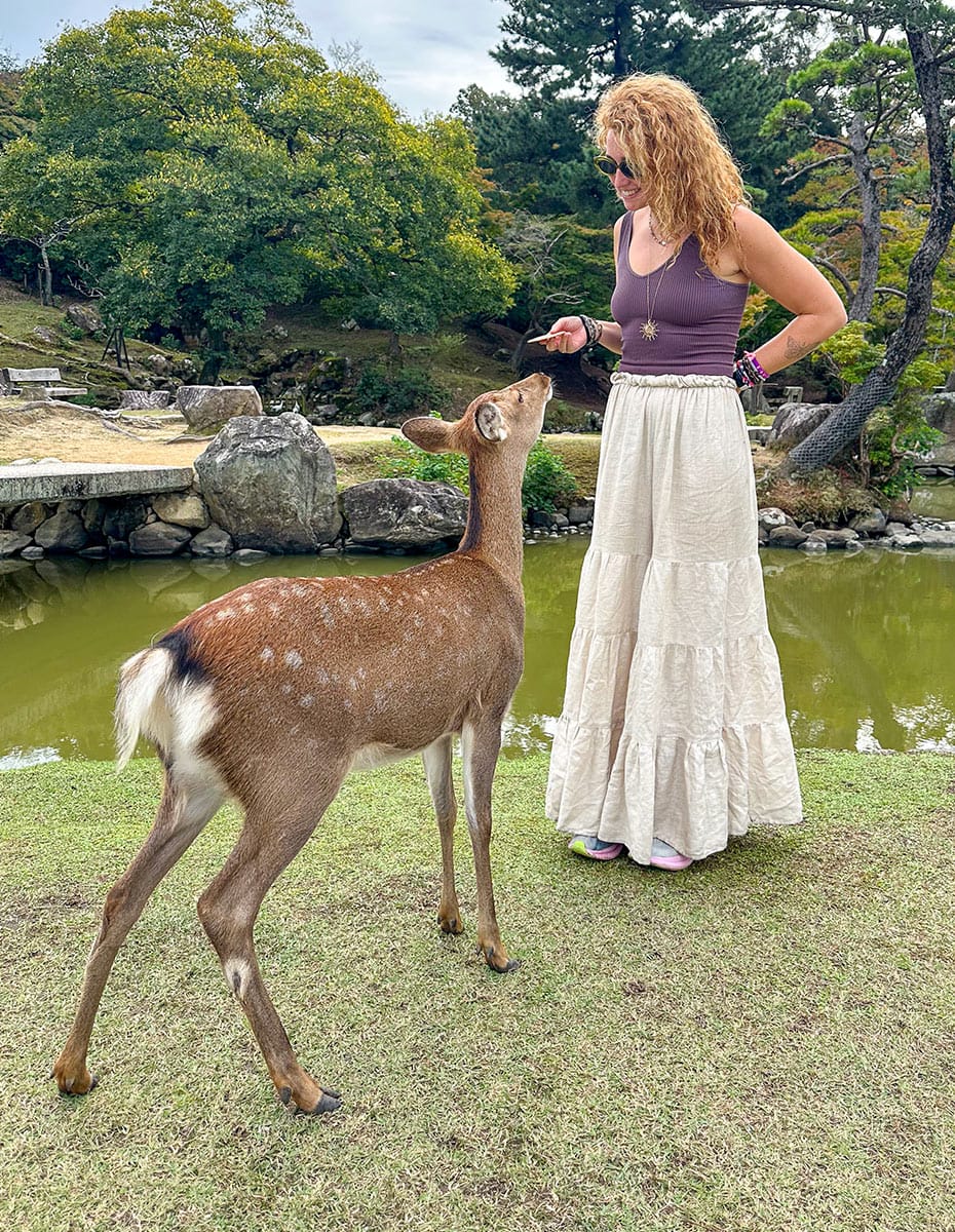 Stroll through Nara’s parks & meet the famous bowing deer