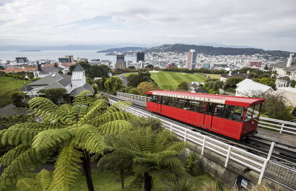 Day 8: River Valley – Wellington