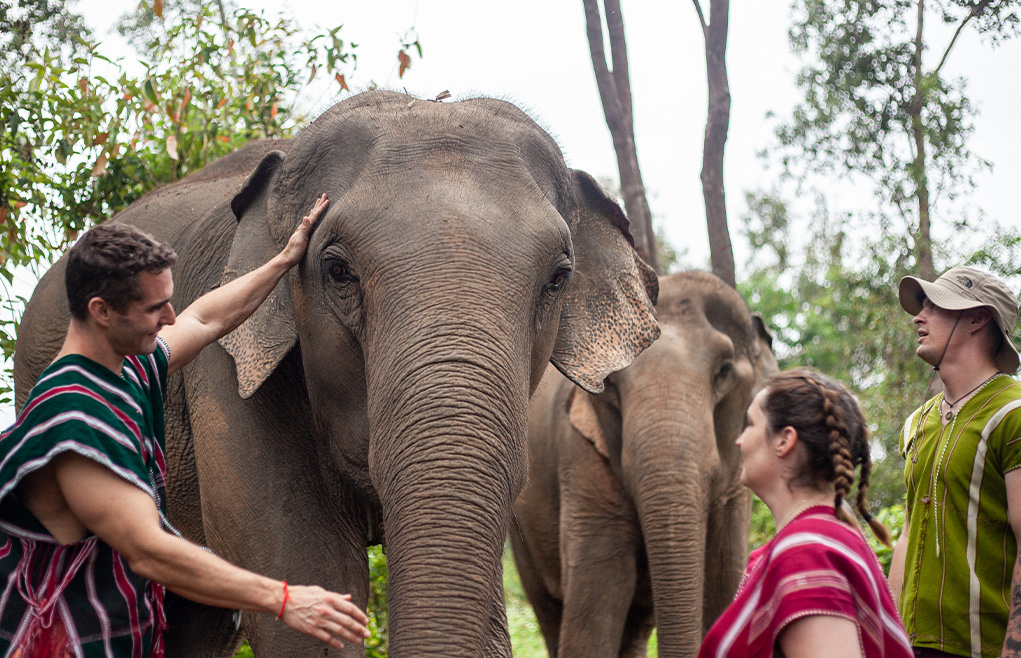 Day 10 & 11: Welcome to Chiang Mai – where the adventure truly begins!