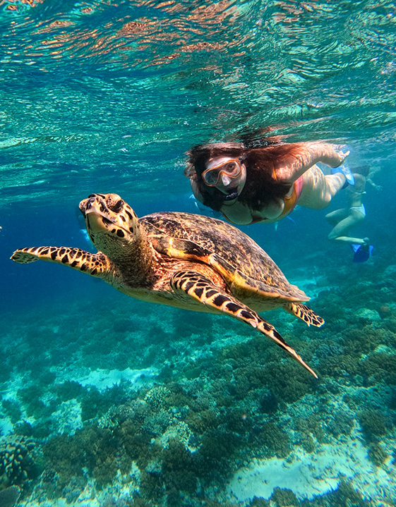 Go snorkelling on the Gili Islands