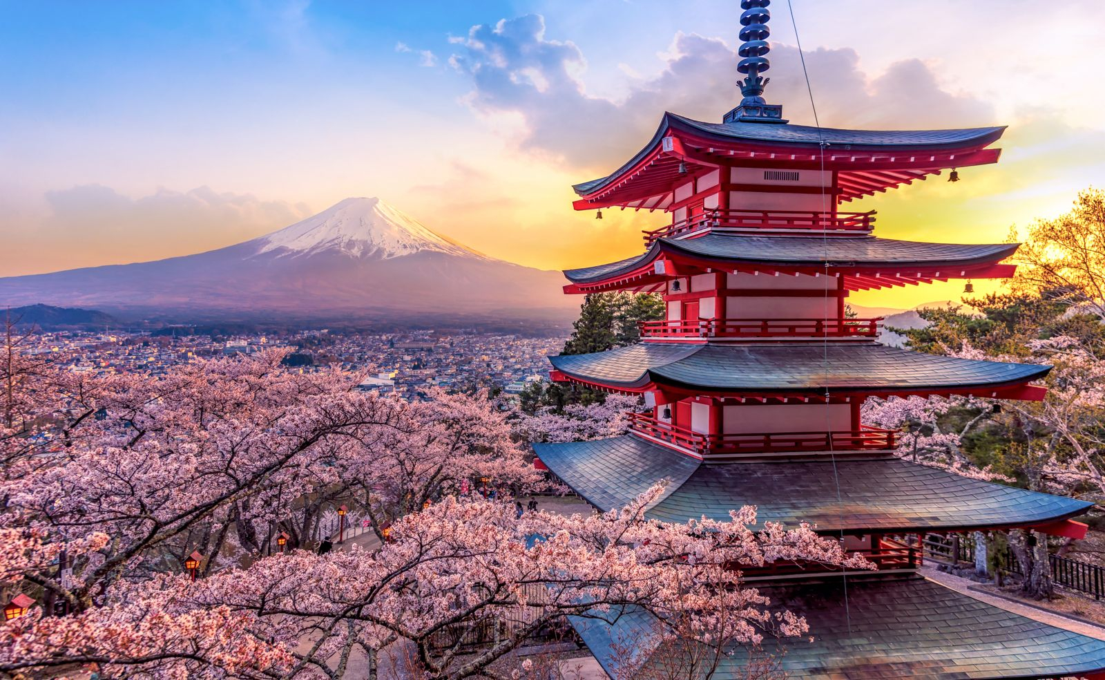 Japan Express - 10 Days 🇯🇵